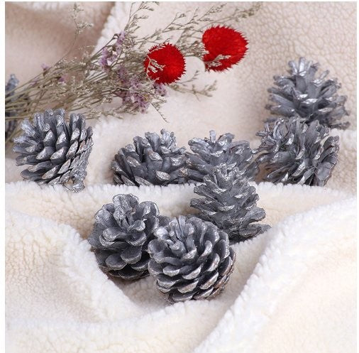 3-4CM Silver Pinecone, 1 Pack 9 Pc Hanging Sign