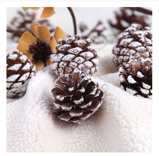 3-4cm White Edge Pinecone (9 Pc / Bag) Hanging Sign 3