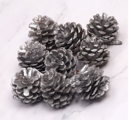 4-5CM Silver Pinecone, 1 Pack 9 Pc Hanging Sign