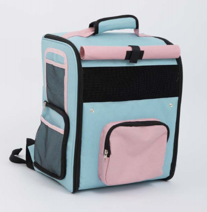 Color-block Backpack