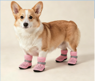 Dog Shoes