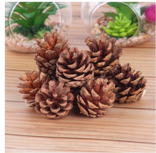 Pine 3-4cm(pc) Hanging Sign