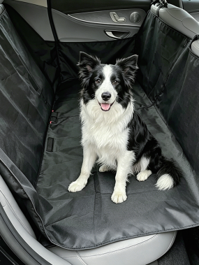 Single Layer Car Cushion