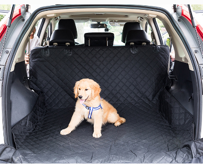 Trunk Style Car Cushion